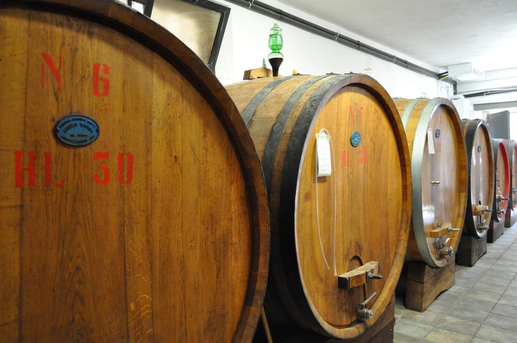 Antica Grancia Di Quercecchio Lägenhet Montalcino Exteriör bild